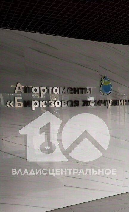 квартира г Новосибирск метро Площадь Гарина-Михайловского ул Сухарная 107/1 фото 15