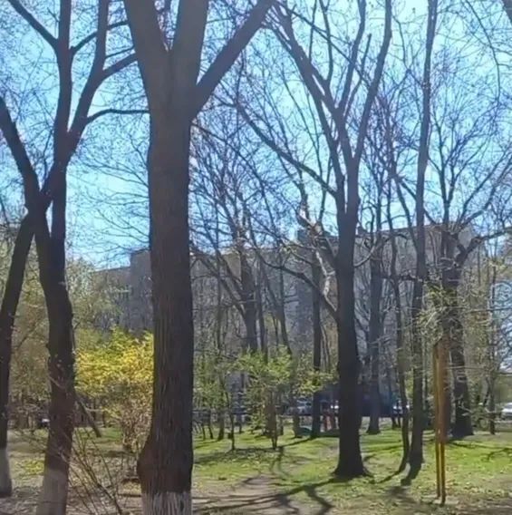 комната г Владивосток р-н Советский ул Полетаева 17 фото 14