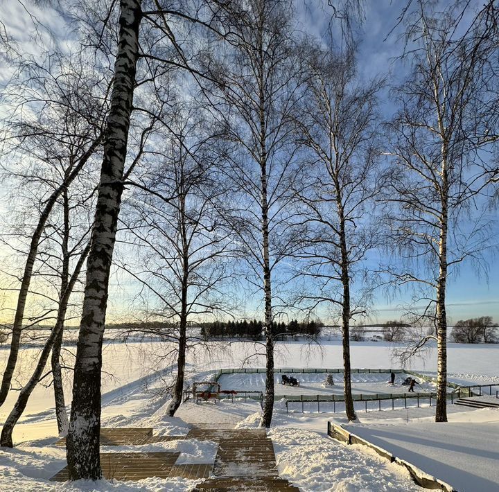 дом городской округ Домодедово с Лобаново 14 фото 17