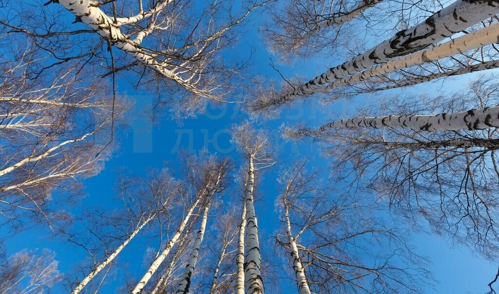 земля р-н Боровичский д Коремера Сушанское сельское поселение фото 5