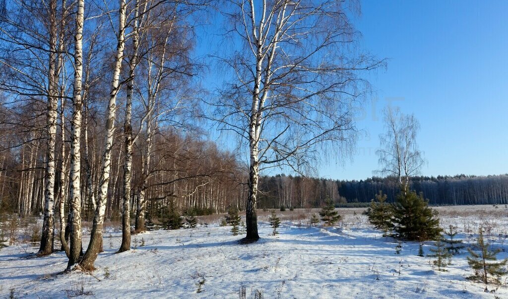 земля р-н Боровичский д Коремера Сушанское сельское поселение фото 7