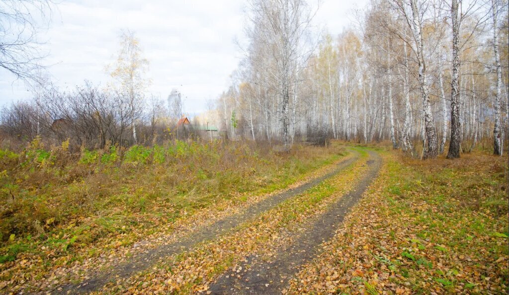 земля г Заводоуковск ул Первомайская фото 2