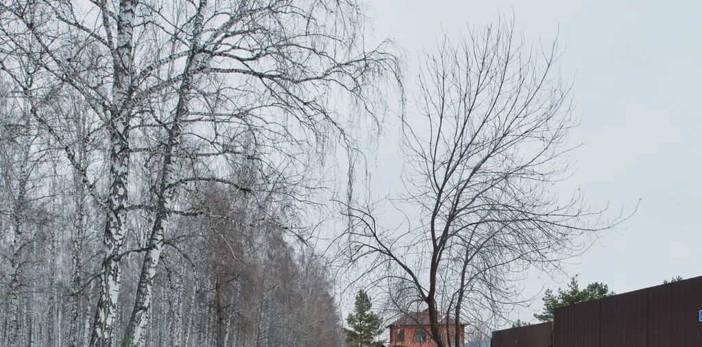 дом г Тюмень п Березняковский р-н Центральный ул Степана Колокольникова 44 фото 31