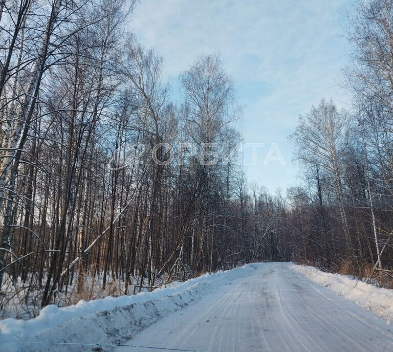 земля г Тюмень тракт Ялуторовский 11й километр фото 3