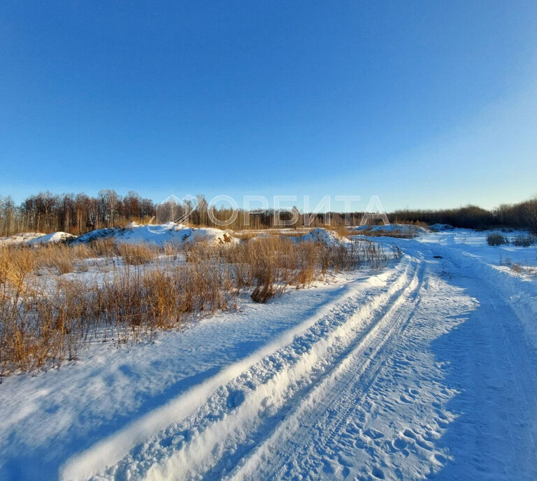 земля г Тюмень тракт Ялуторовский 11й километр фото 4