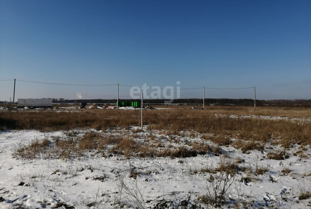 земля р-н Курский д Зорино Рышковский сельсовет фото 3