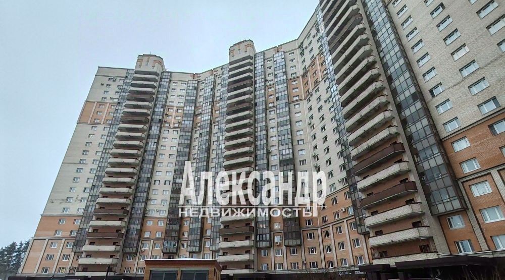 квартира г Санкт-Петербург метро Озерки ул Есенина 1к/1 фото 35