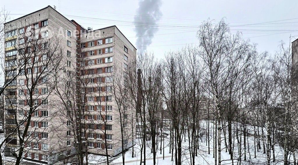 квартира г Санкт-Петербург метро Удельная ул Манчестерская 18 фото 20