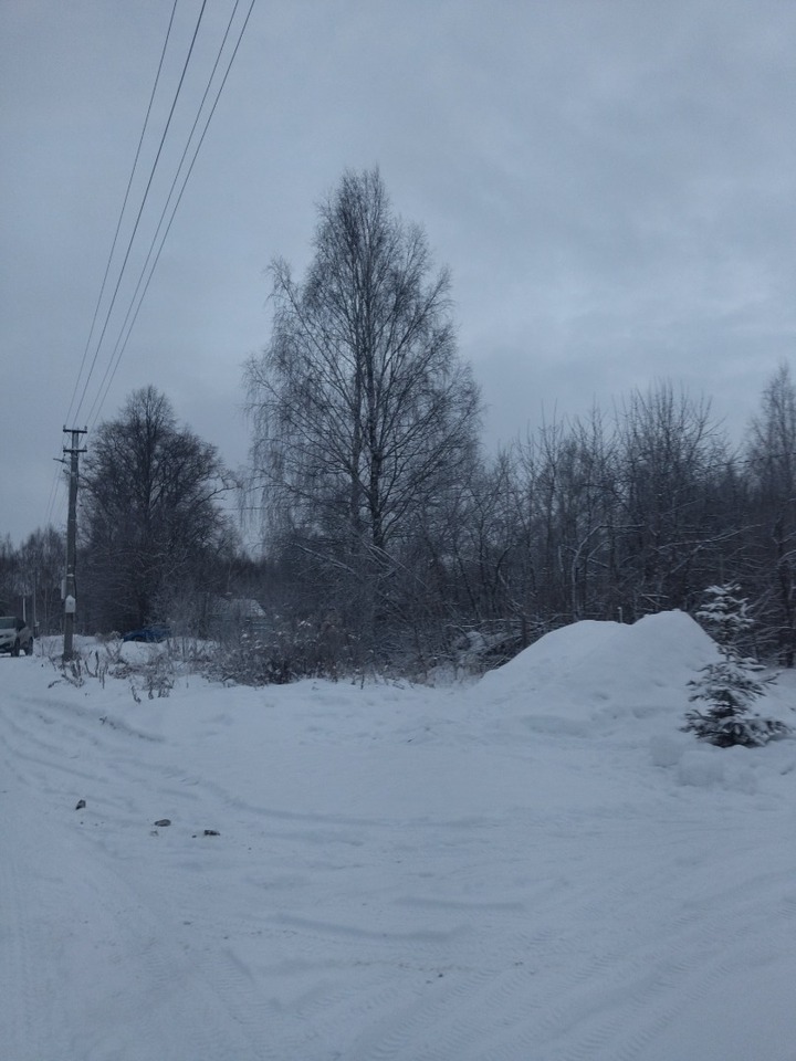 земля р-н Городецкий д Глуховка (Николо-Погостинский с/с) фото 1