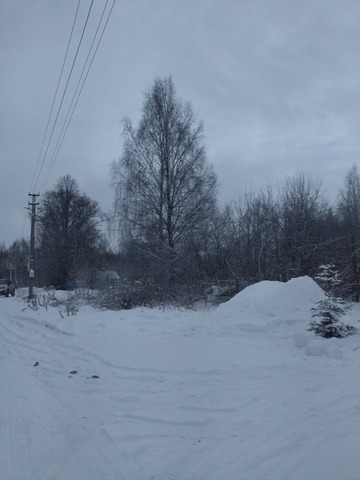 р-н Городецкий д Глуховка (Николо-Погостинский с/с) фото