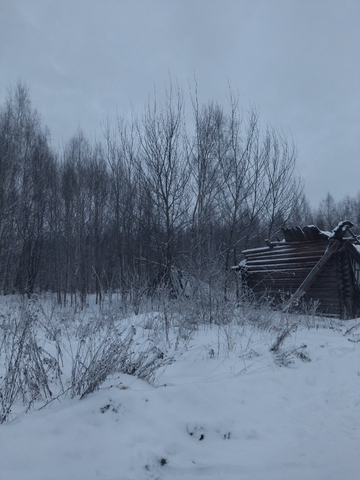 земля р-н Городецкий д Глуховка (Николо-Погостинский с/с) фото 2