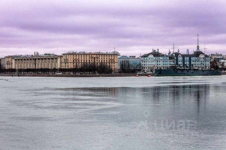 квартира г Санкт-Петербург р-н Петроградский ул Мичуринская 1 Посадский округ, Ленинградская область фото 3