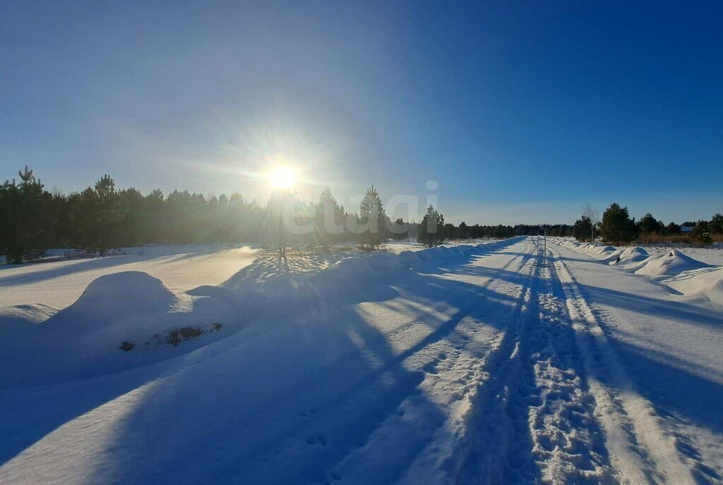 земля р-н Нижнетавдинский снт Березка фото 8