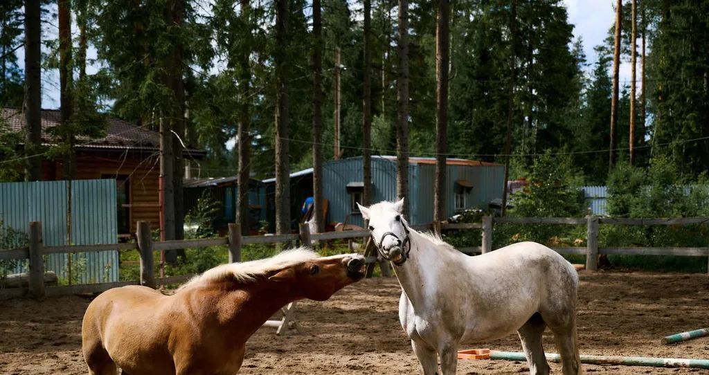 дом р-н Тихвинский снт Заречное Сертоловское городское поселение, ул. Варшавская, 1, Всеволожский район фото 42