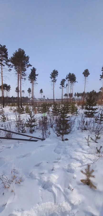 земля р-н Читинский п Забайкальский ул Зеленая Смоленка фото 1