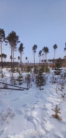 земля п Забайкальский ул Зеленая Смоленка фото