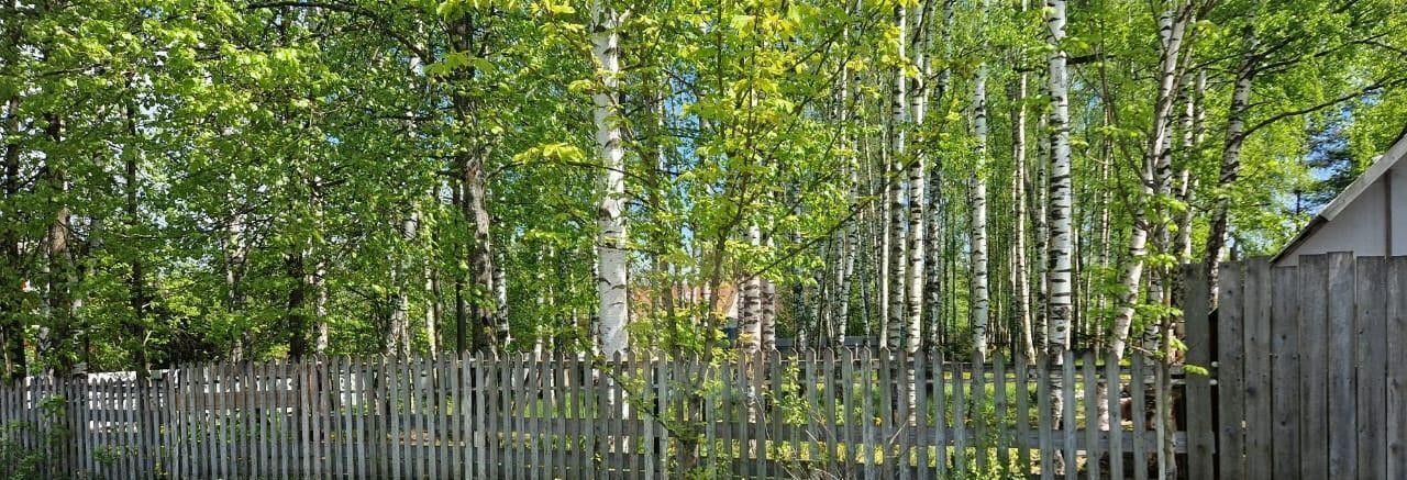 земля городской округ Пушкинский п Зеленоградский снт Зеленоградский ул Льва Толстого фото 14