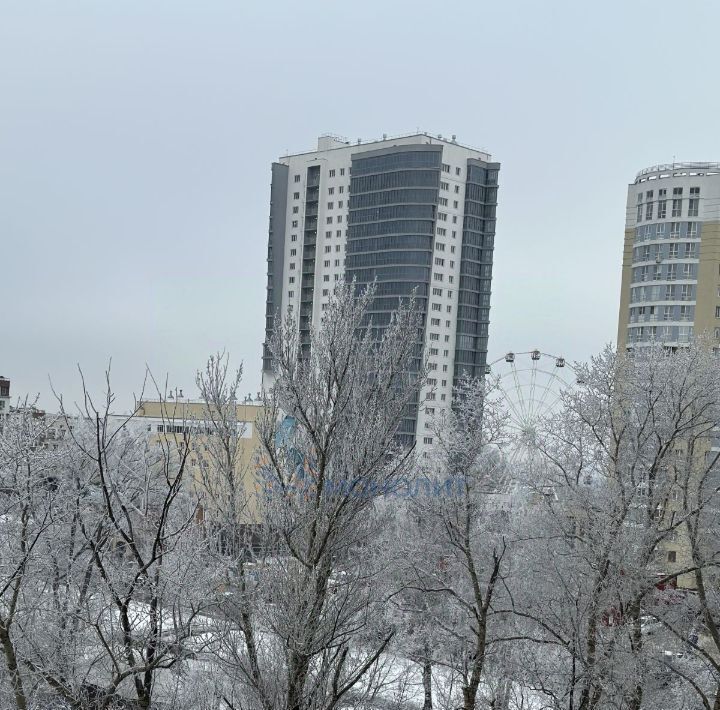 квартира г Нижний Новгород Горьковская ул Большая Печерская 89 фото 8