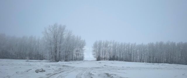 с Малая Елга Малоелгинское с/пос фото