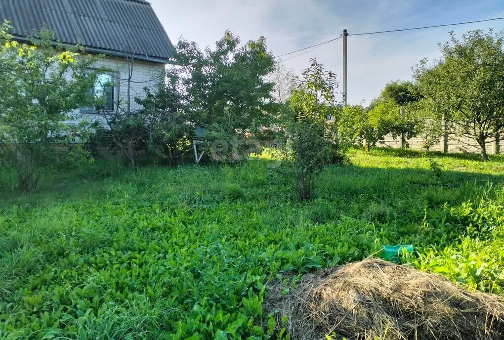 дом р-н Орловский с Звягинки ул Васильковая фото 5