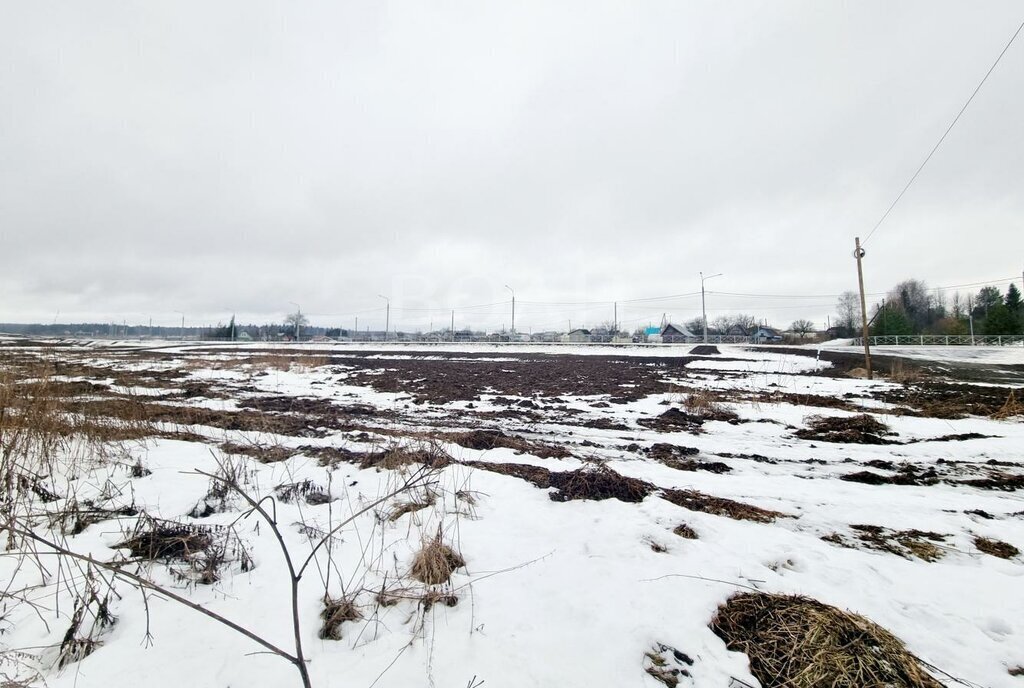 земля р-н Вологодский п Грибково фото 4