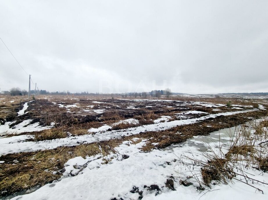 земля р-н Вологодский п Грибково фото 5