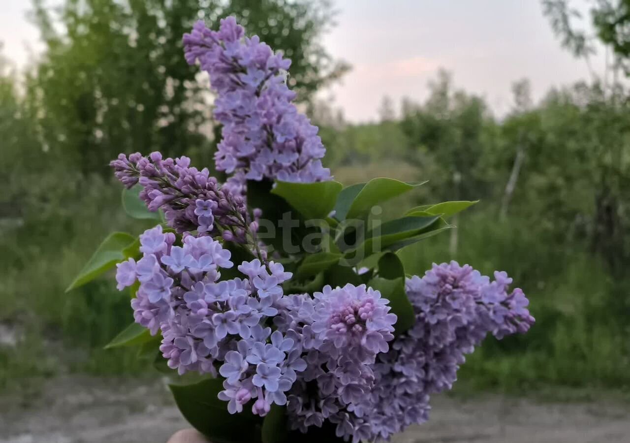 дом г Нижневартовск садово огородное товарищество Огородник -3, Тюменская обл. фото 17