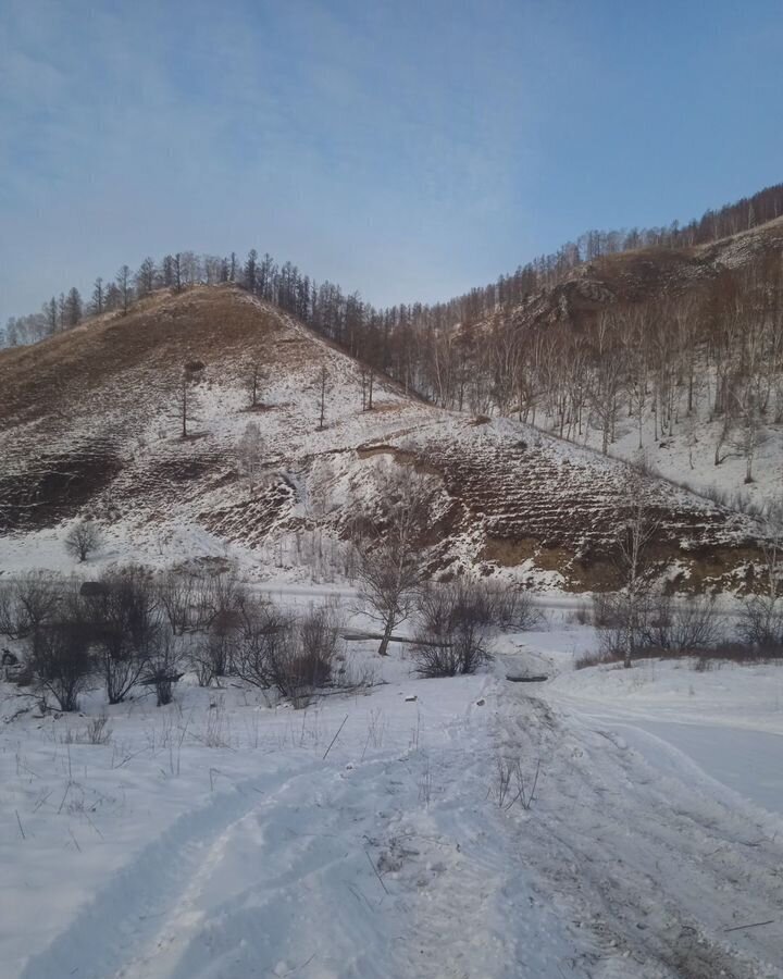 земля р-н Шебалинский с Черга ул Октябрьская Алтайский край, Алтайское фото 5