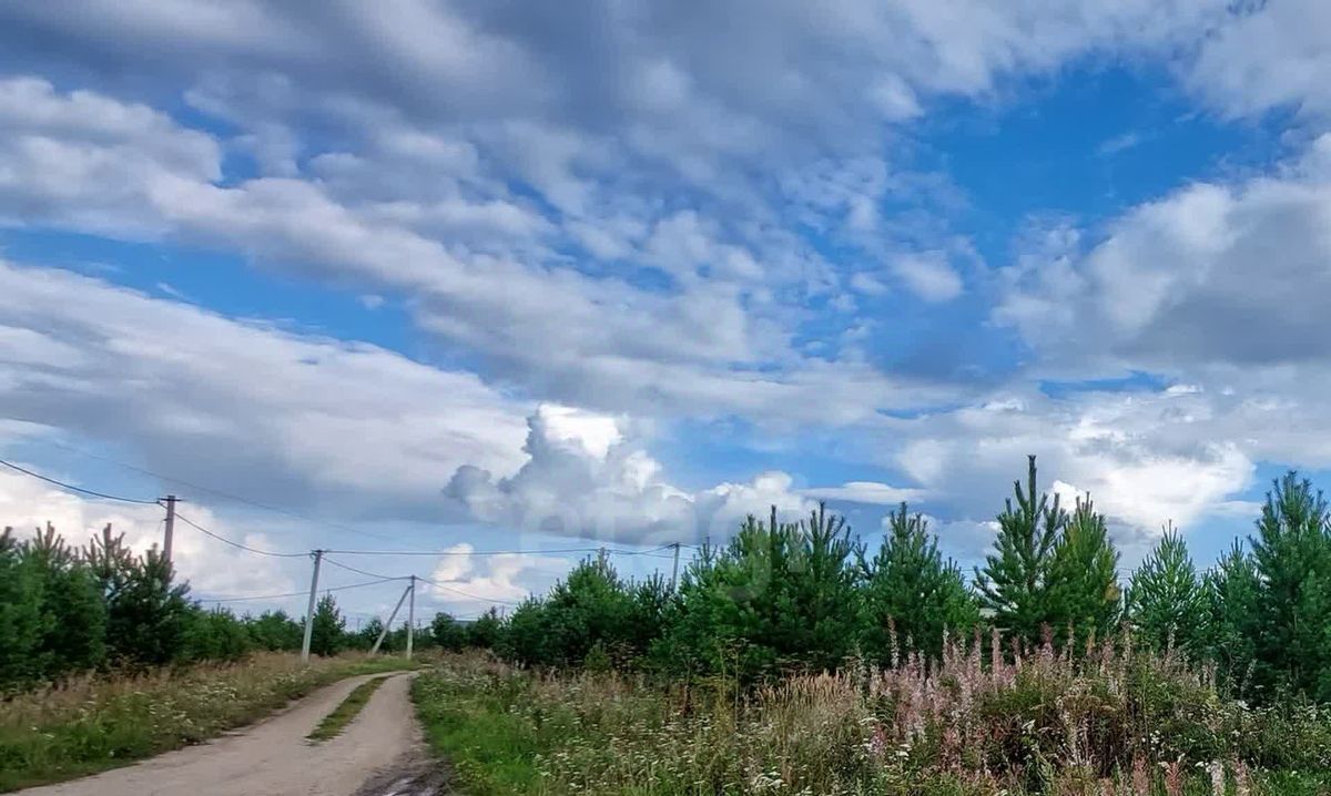 земля р-н Тюменский с Каменка Подушкино ДНТ фото 13