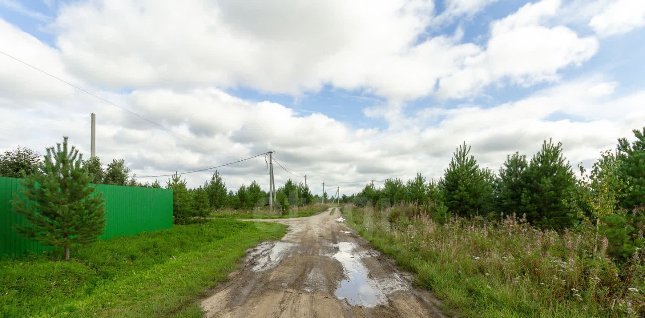 земля р-н Тюменский с Каменка Подушкино ДНТ фото 18