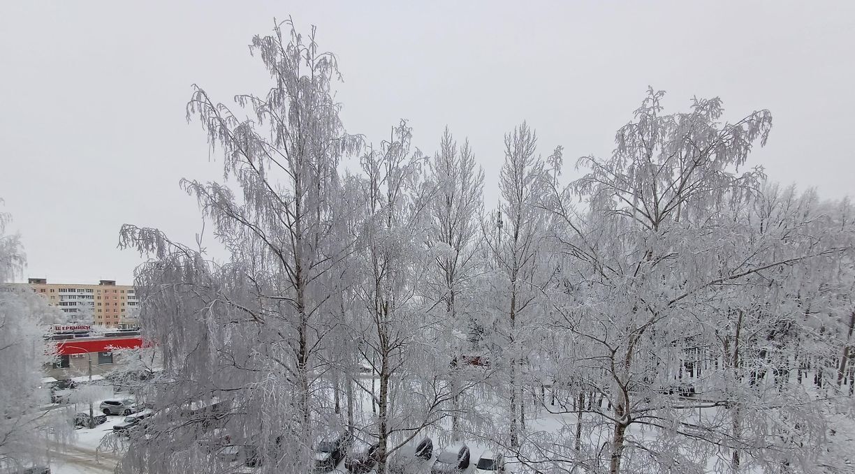 квартира г Нижний Новгород Пролетарская пр-кт Гагарина 115 фото 10