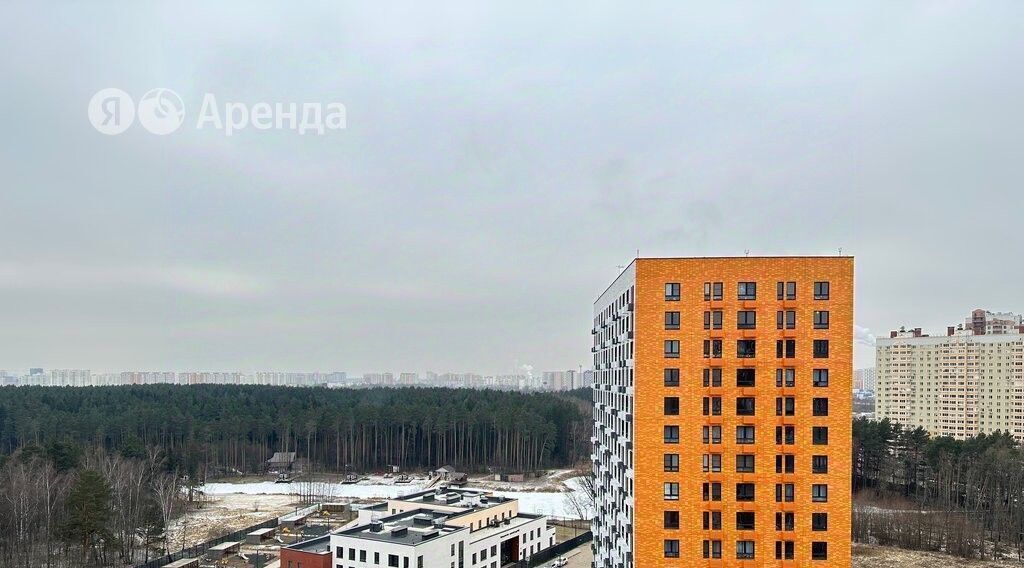 квартира городской округ Ленинский рп Дрожжино ул Южная 16к/2 Бутово фото 10