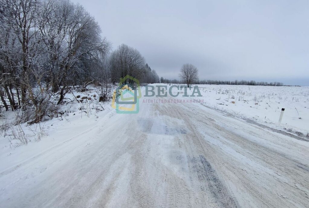 земля р-н Волосовский д Каргалозы Калитинское сельское поселение фото 2