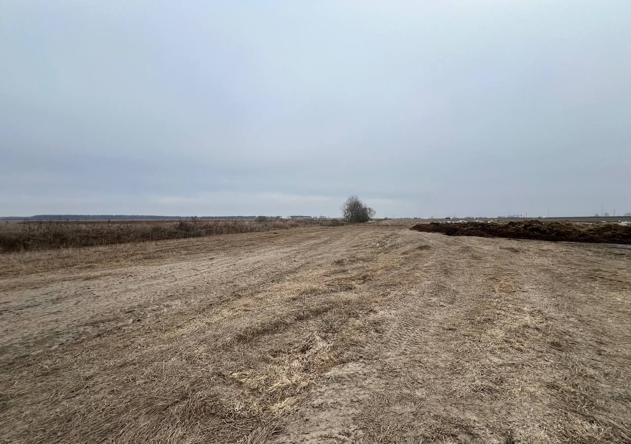 земля городской округ Раменский 42 км, ЦКАД, 163-й километр, Бронницы, Рязанское шоссе фото 6