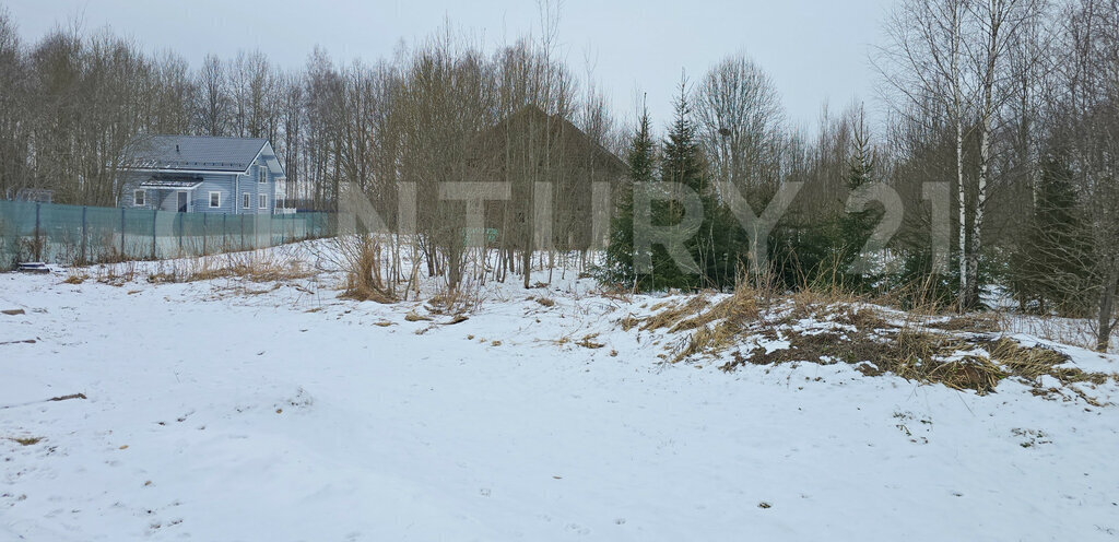 земля городской округ Истра д Сафонтьево снт Сафонтьево 18 фото 4