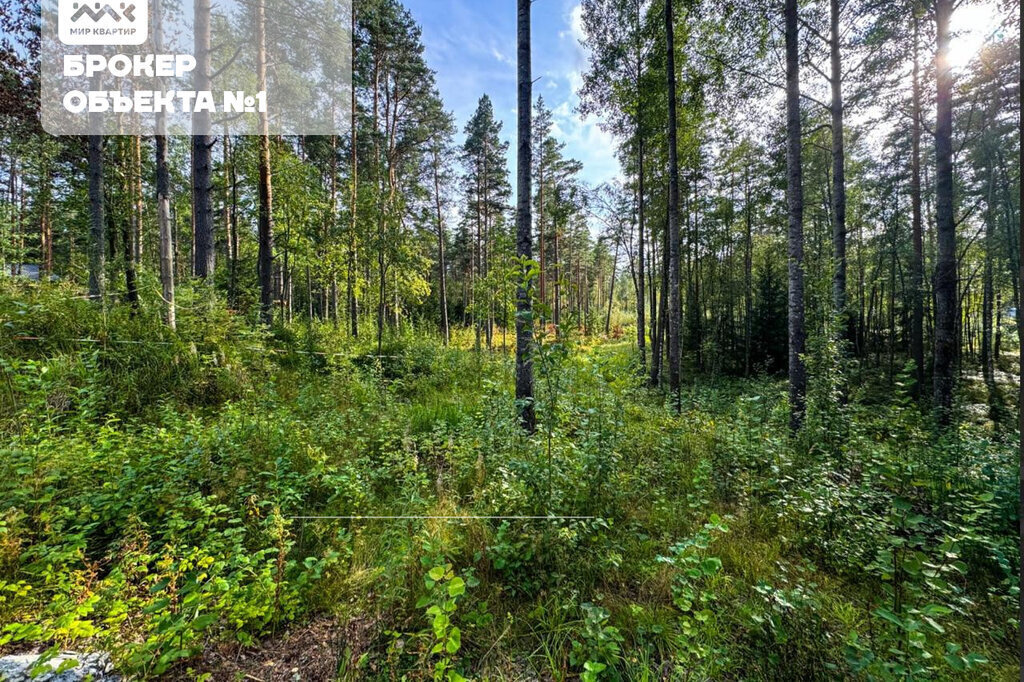 земля р-н Приозерский д Раздолье Раздольевское сельское поселение фото 9