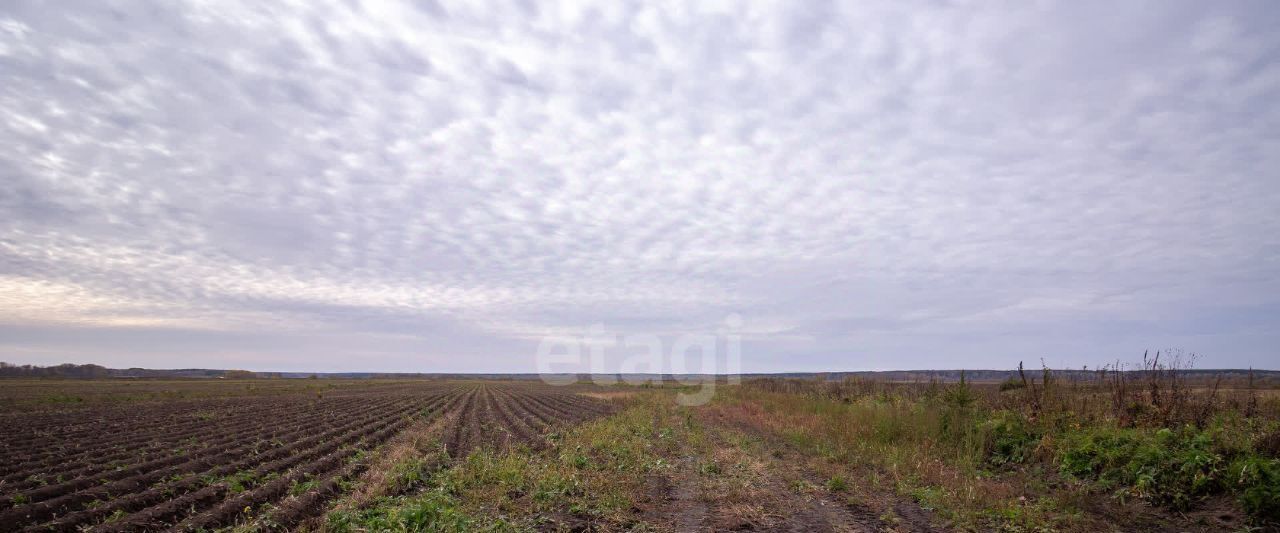 земля р-н Томский с Вершинино пер Новый фото 20