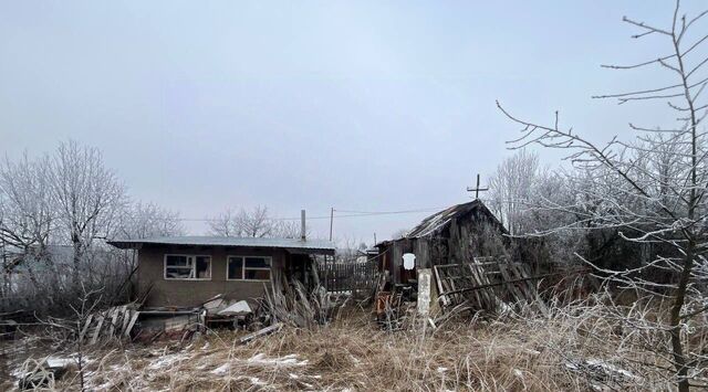 р-н Ленинский 13, Дубрава сад фото