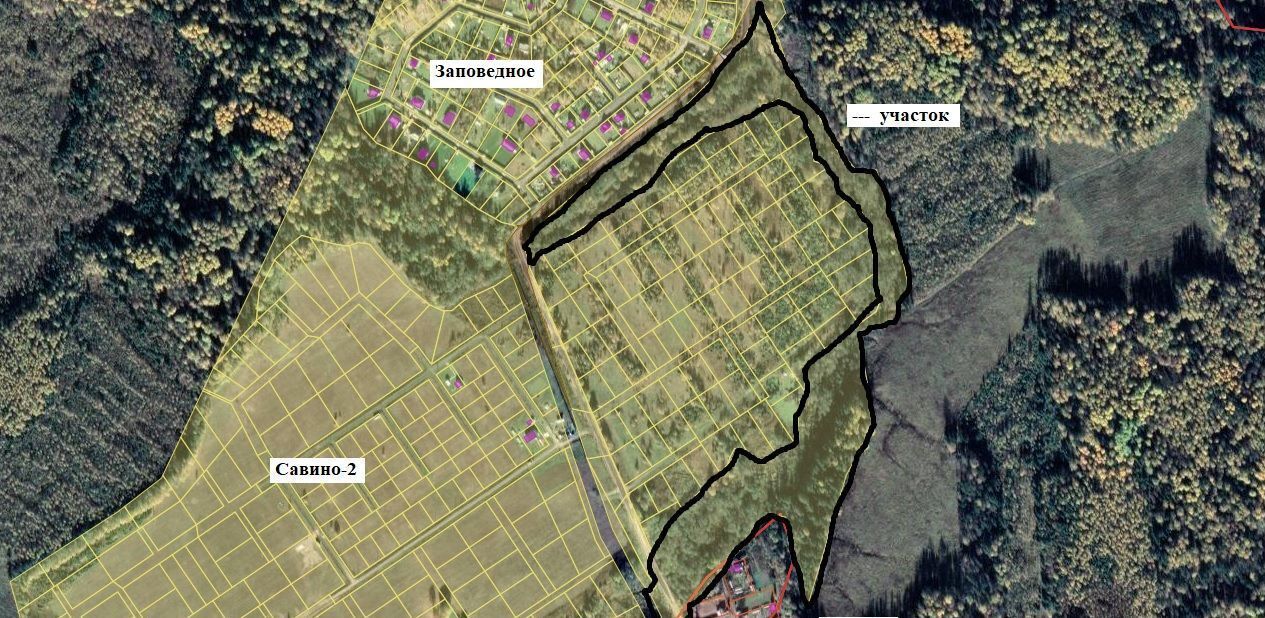 земля городской округ Клин д Савино 68 км, Новопетровское, Новорижское шоссе фото 3