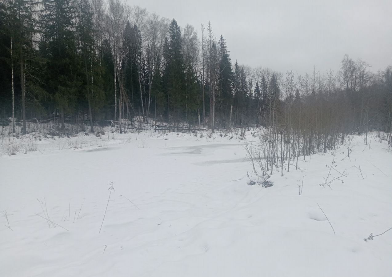 земля городской округ Клин д Савино 68 км, Новопетровское, Новорижское шоссе фото 12