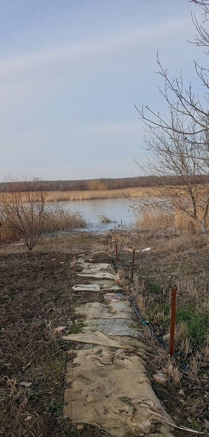 дом р-н Тихорецкий ст-ца Алексеевская Алексеевское сельское поселение фото 1