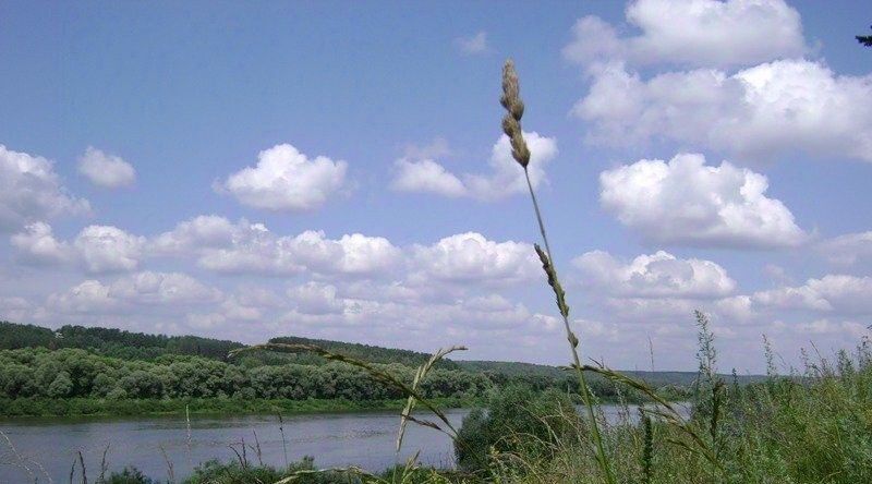 дом р-н Алексинский г Алексин снт Ока Лесная ДНП, с. Бунырево фото 8