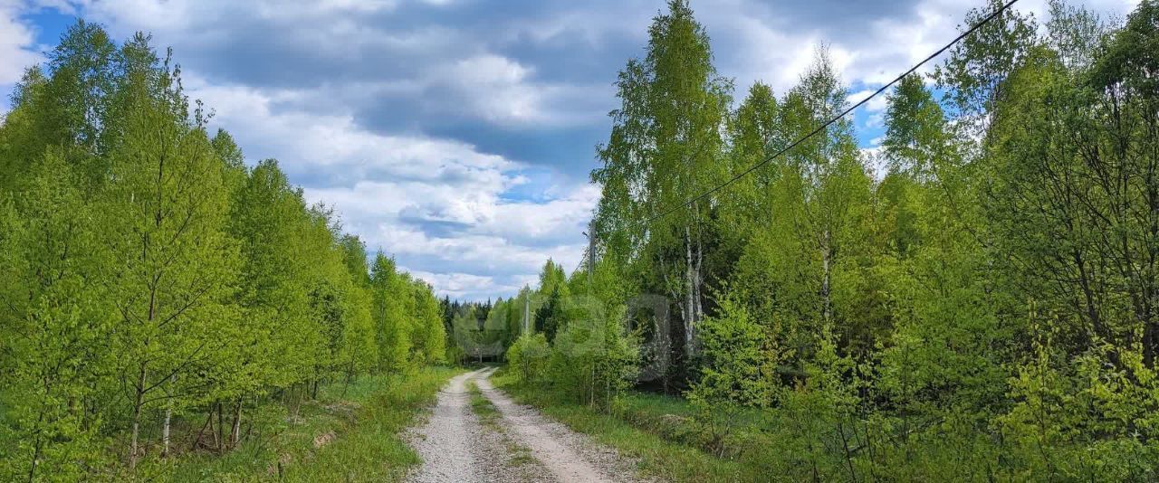 земля р-н Малоярославецкий д Лопатино тер. ДПК Земляничная поляна пер Клюквенный 42 с пос, Юбилейный фото 3