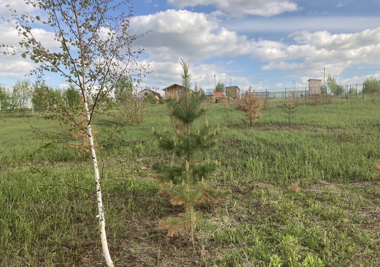 земля городской округ Воскресенск 58 км, территория Петровское-1, Берёзовая ул, Новорязанское шоссе фото 7