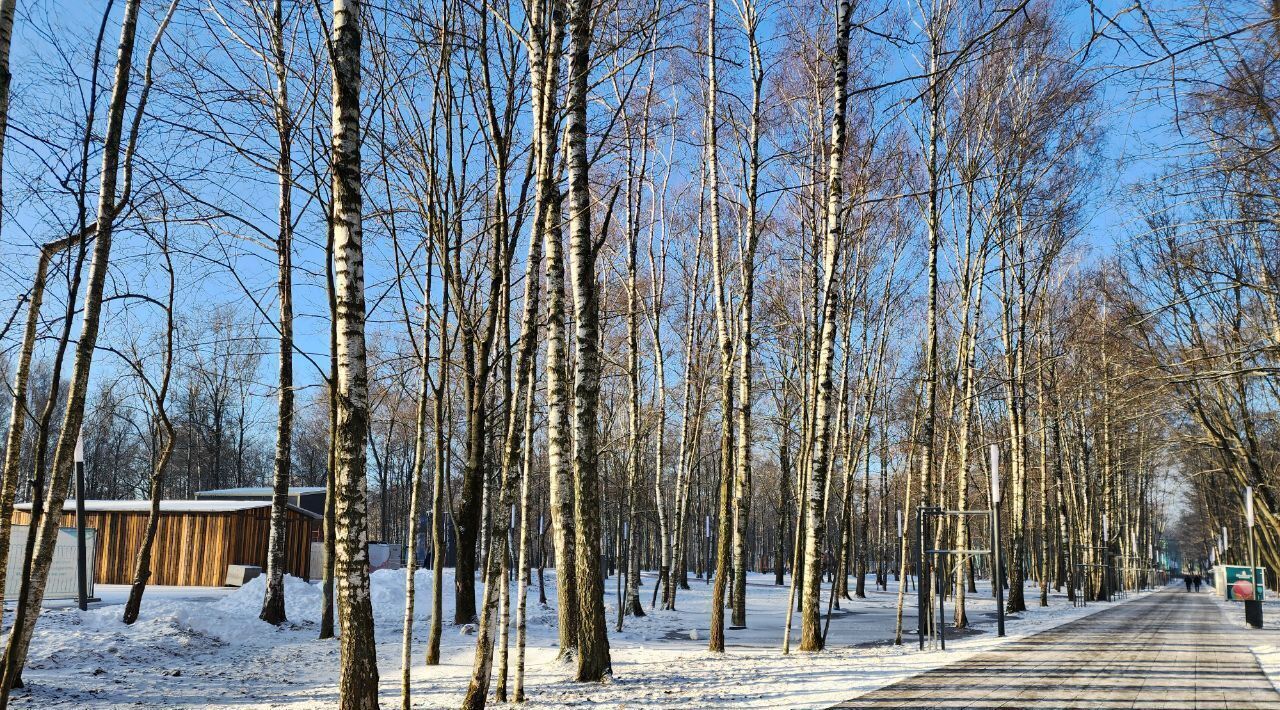 квартира г Москва метро Лобня ул Чкалова 3 Московская область, Лобня фото 15