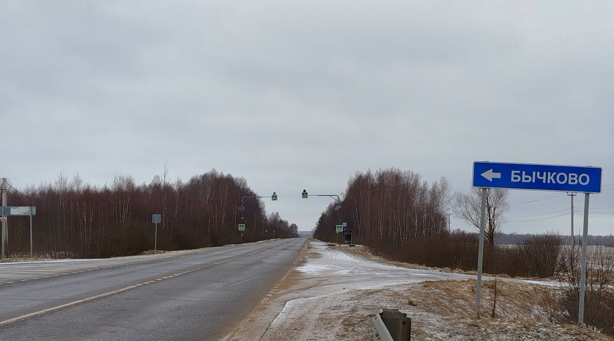 земля городской округ Можайский д Бычково ул Дорожная фото 1