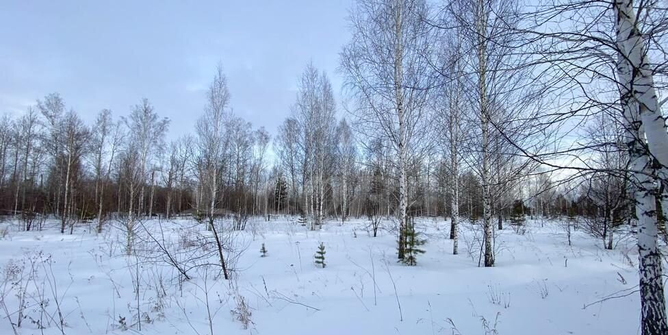 земля р-н Тюменский снт Одуванчик Тюмень фото 1