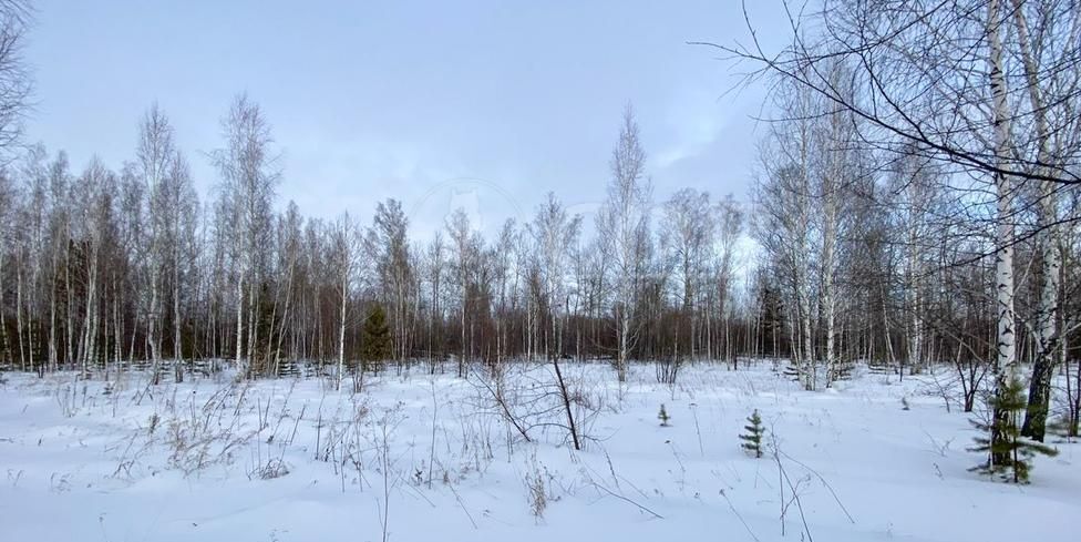 земля р-н Тюменский снт Одуванчик Тюмень фото 3