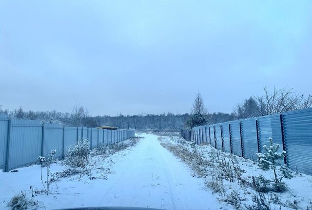 городской округ Тула, деревня Коптево фото