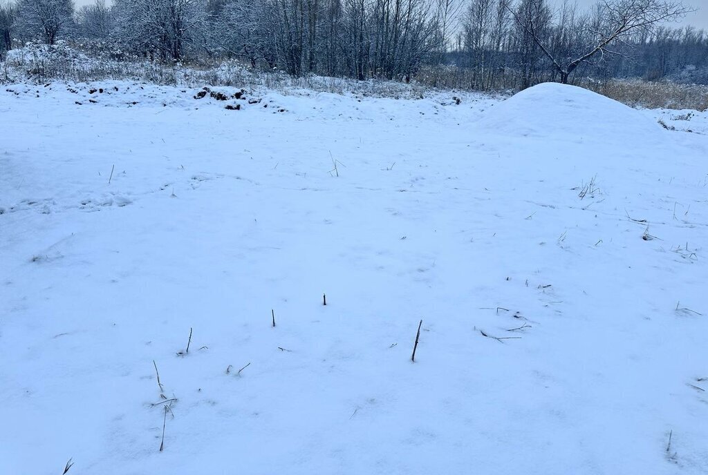 земля городской округ Тула, деревня Коптево фото 4